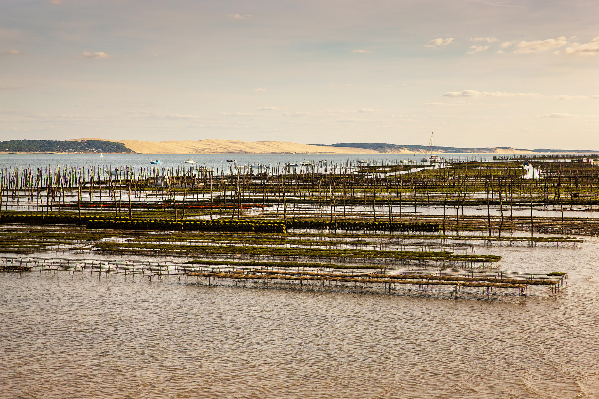 ©Giovanni Tagini. Cap Ferret, durante la bassa marea si possono ammirare le coltivazioni d’Ostrica che emergono dall’acqua.