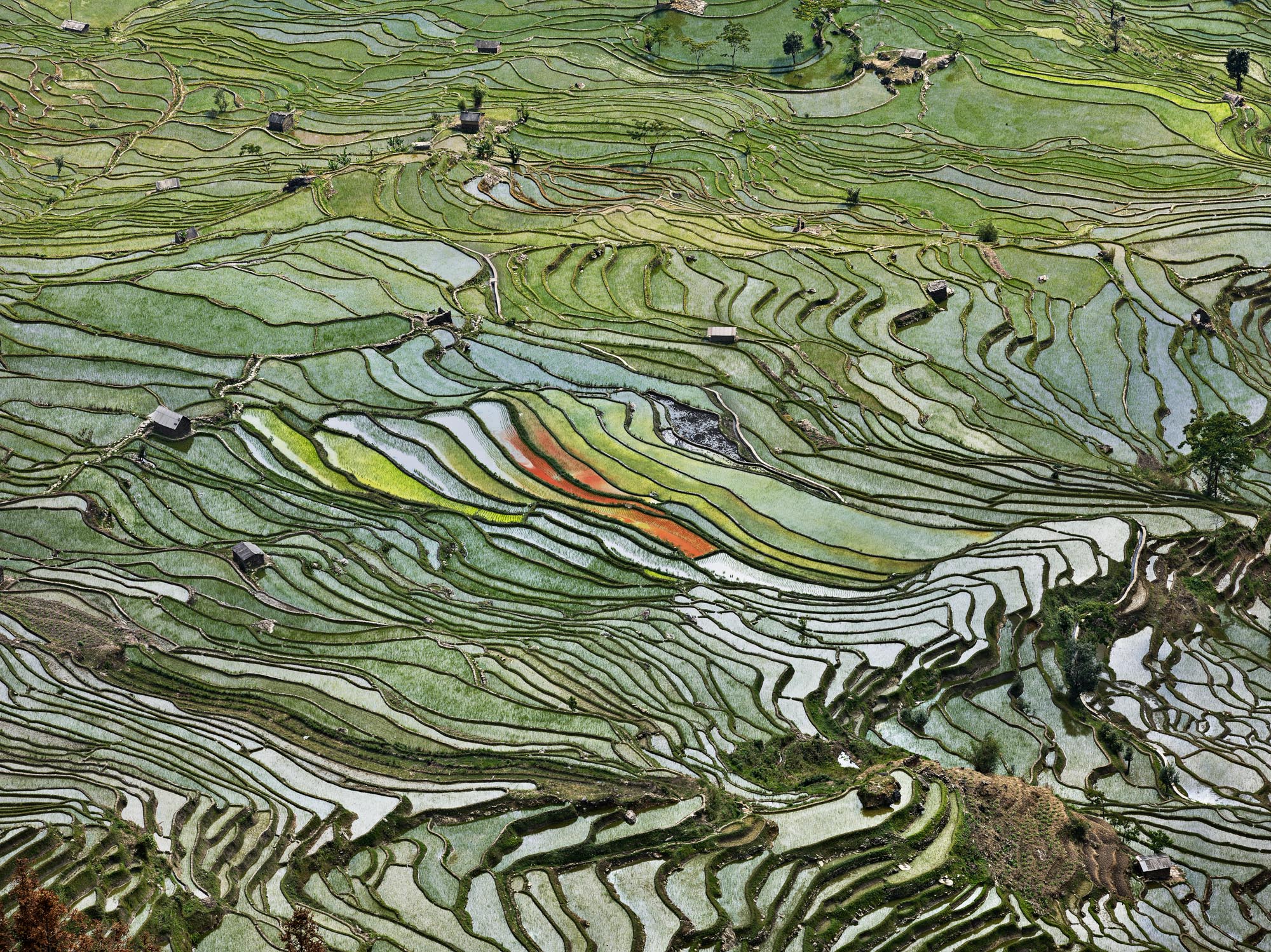 ©Edward Burtynsky. Rice Terraces à2, Western Yunnan Province, China, 2012