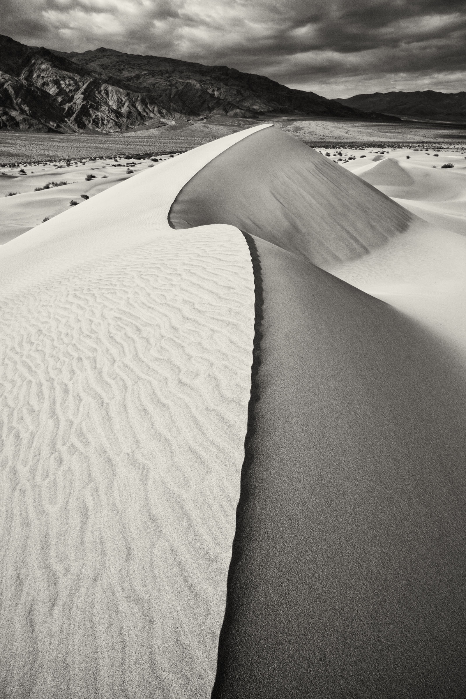 Cara Weston, Dune Ridge II, Death Valley, 2012 Archival Pigment Print © Cara Weston