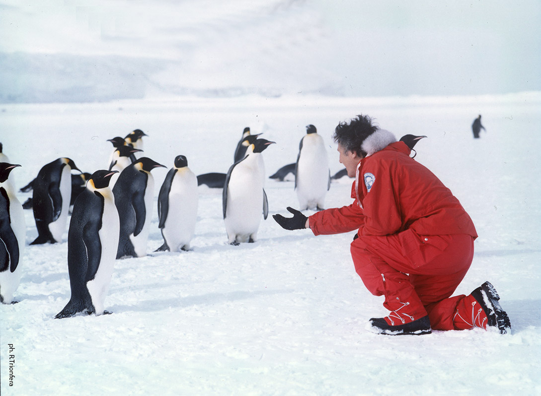 Claudio Speranza incontra i pinguini imperatore,Tethys Bay 1990