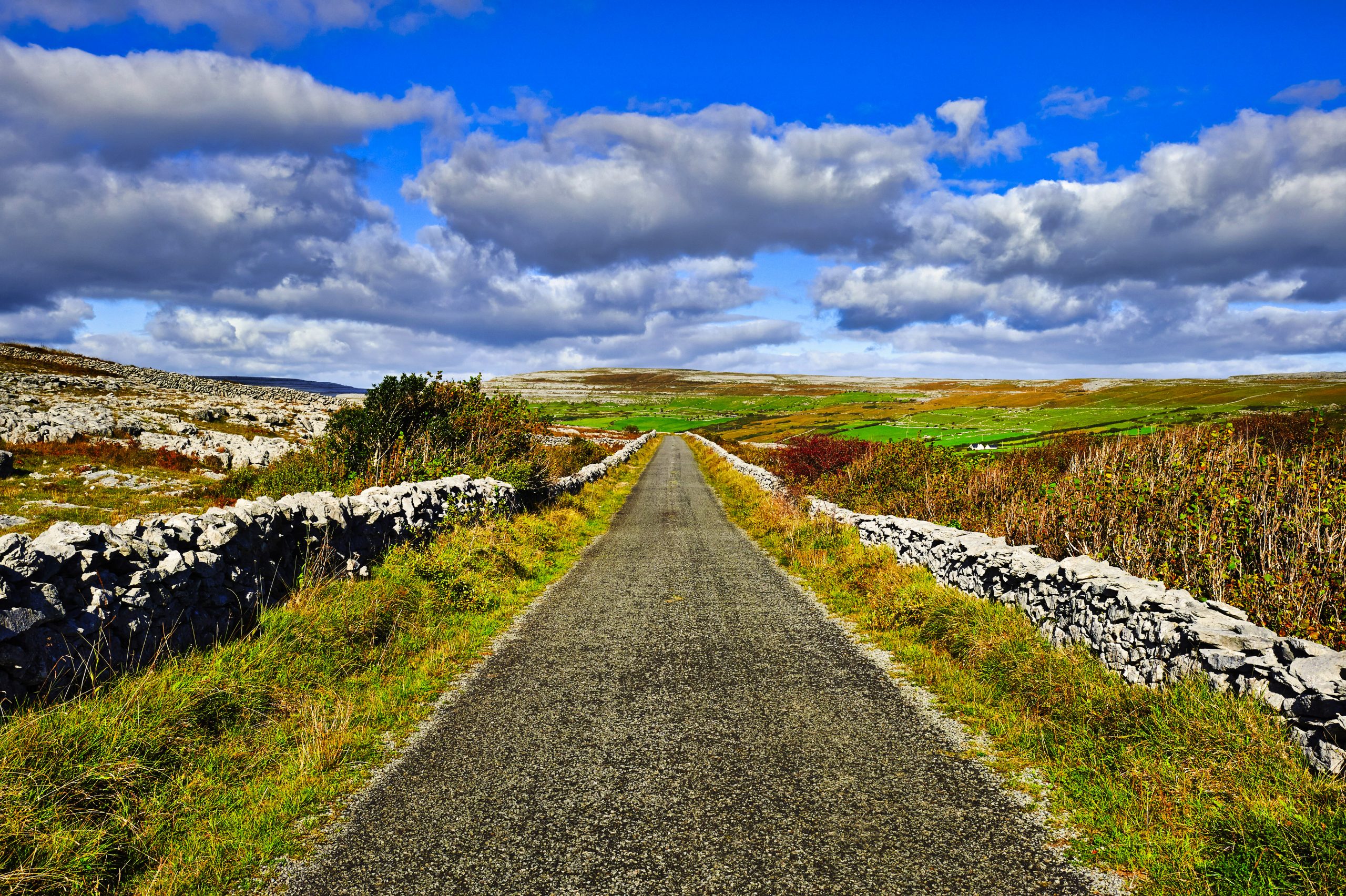 Ireland, County Clare, The Burren National Park, Countryside