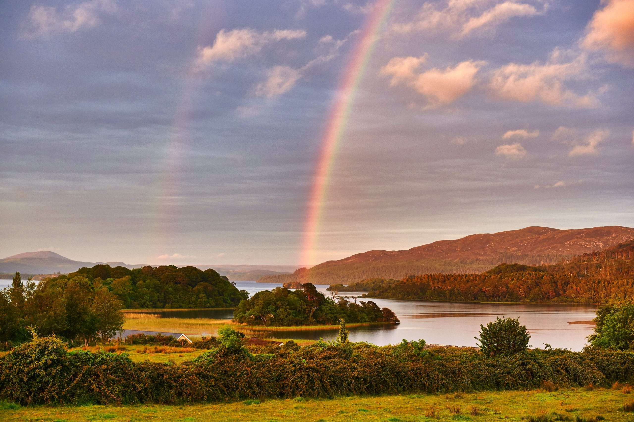 Ireland, Wild Atlantic Way, Sligo County, Lough Gill lake, Doorly Park
