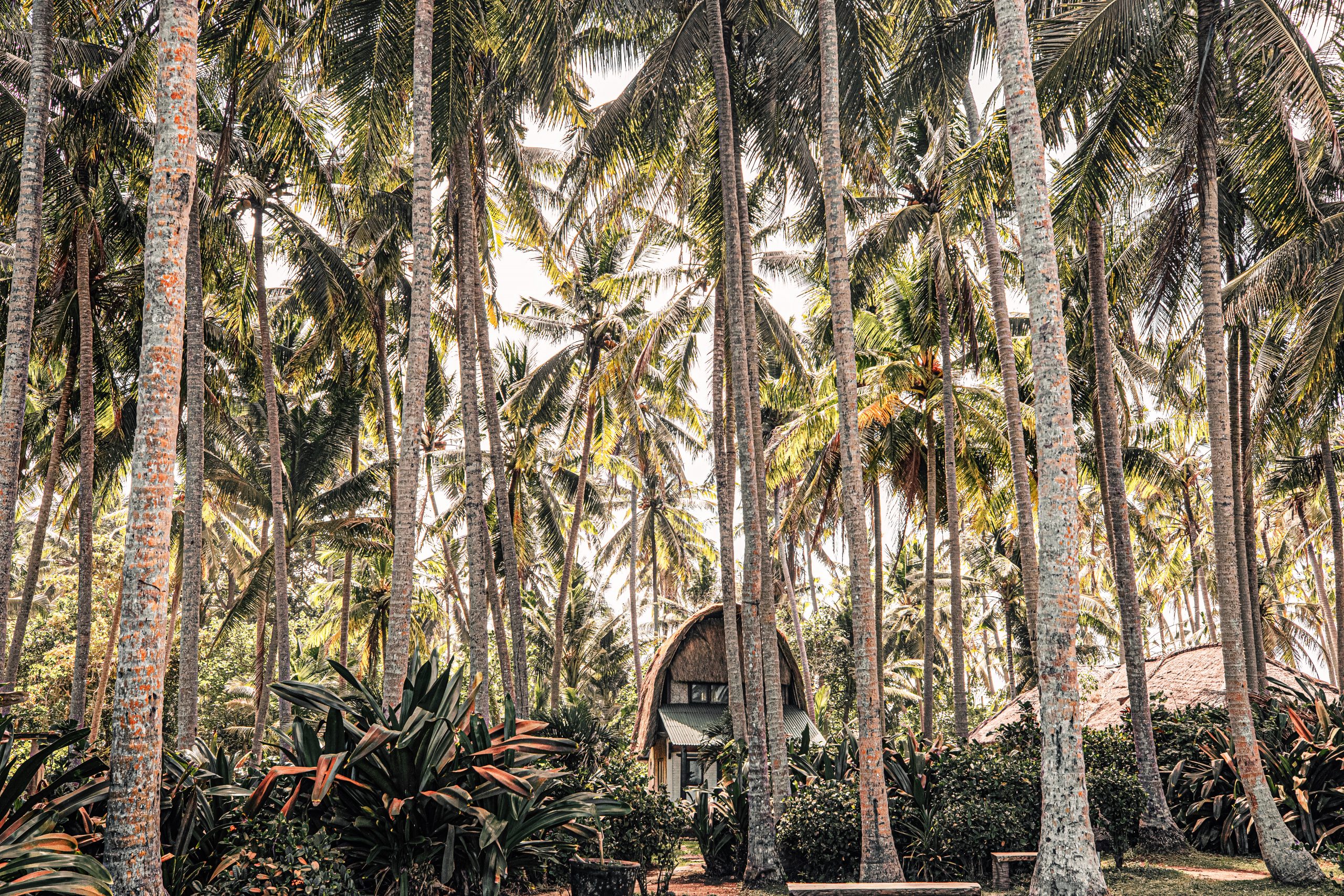 Bali. Capanna nascosta ©Giovanna Aryafara
