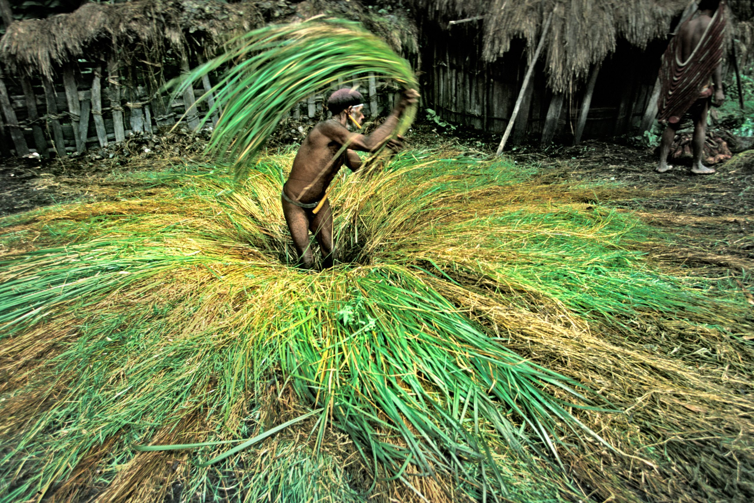 Papua Highland - West Papua - Una bambina Yali portata nella borsa dalla madre. La terra dove vivono gli Yali è una delle più impervie e isolate al mondo e la tribù è entrata in contatto con il resto del mondo solo pochi decenni fa