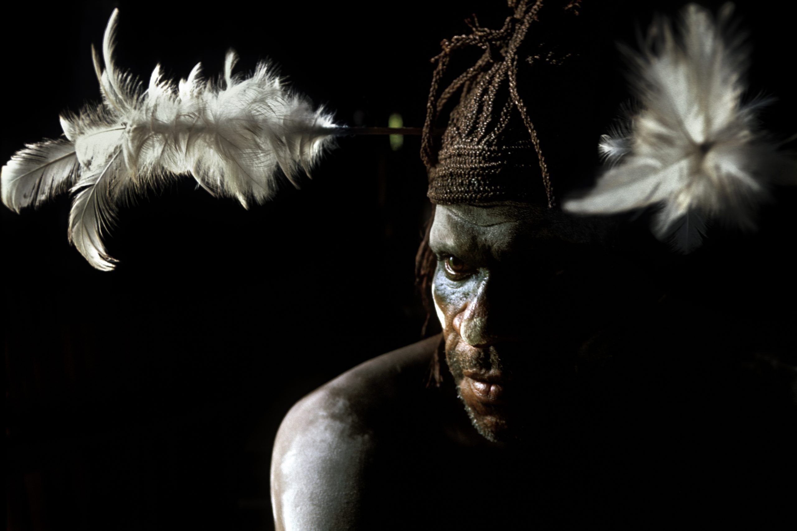 Regione di Asmat - West Papua - acconciatura con piume di cacatua per un Asmat del villaggio di Paw. La regione in cui vivono gli Asmat è una foresta pluviale che si trova in gran parte al di sotto del livello del mare e tutti i villaggi sono costruiti su palafitte.©Bruno Zanzottera