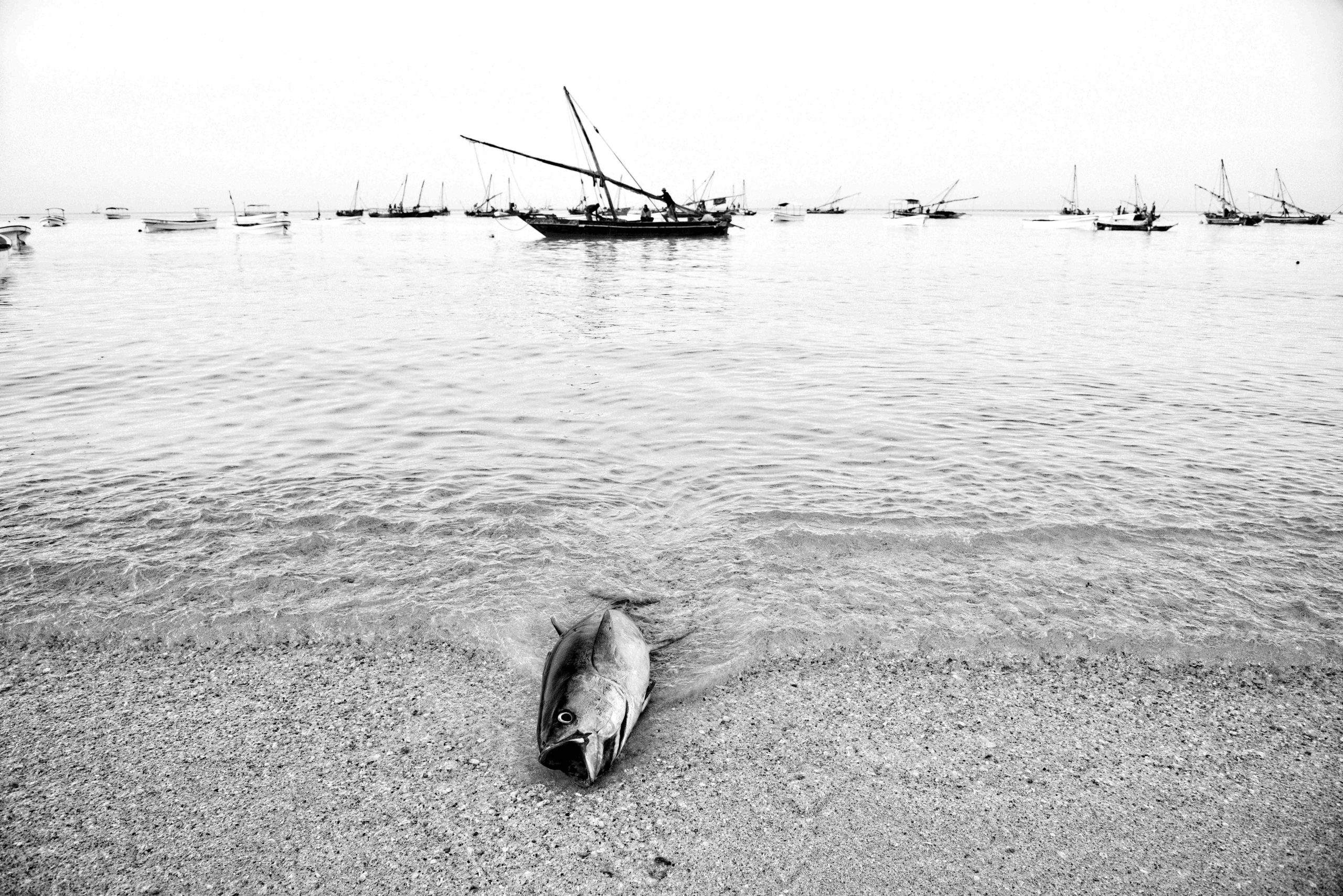 Zanzibar ©Graziano Perotti
