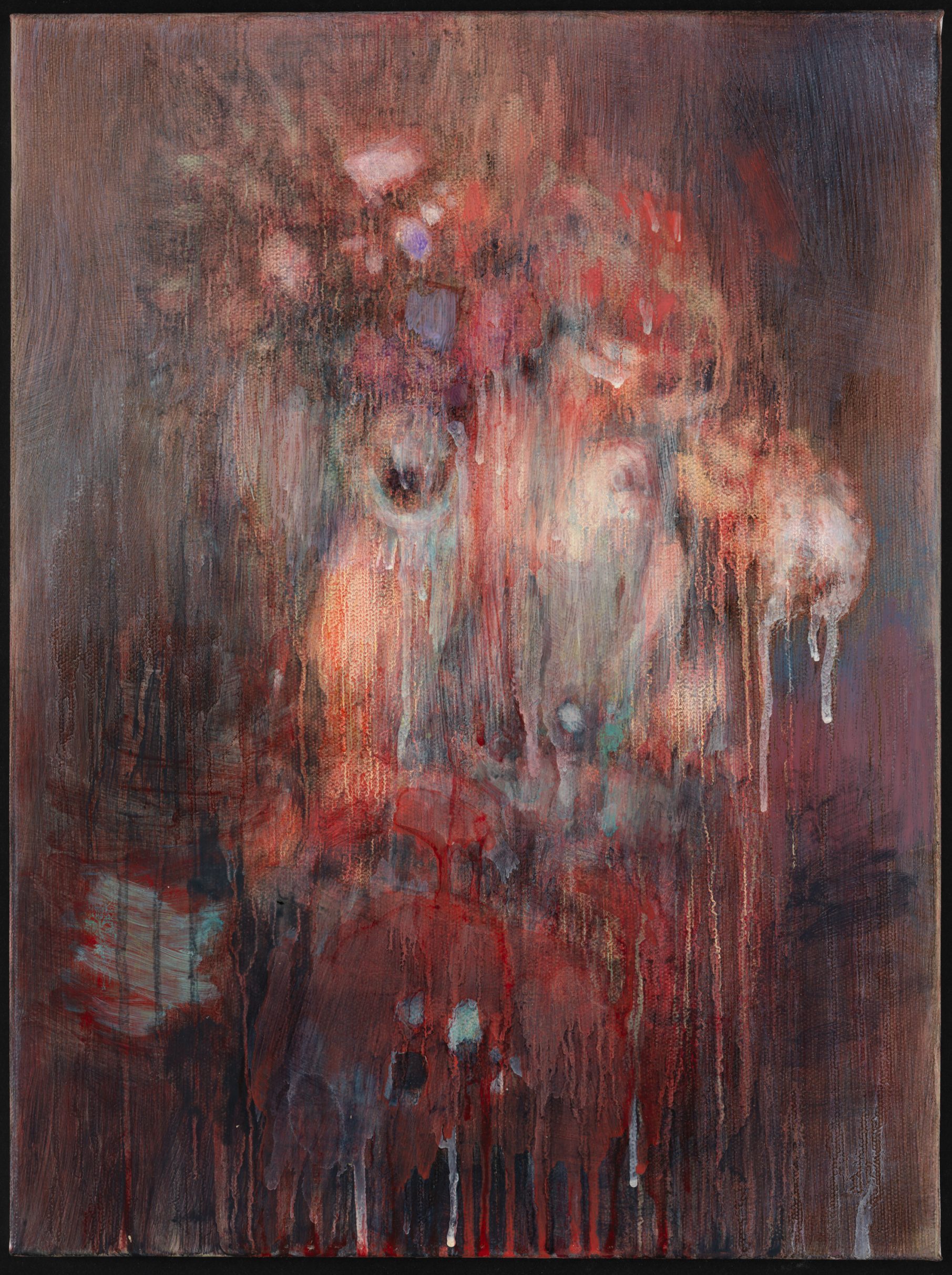 Dee Ferris Untitled (Jewel #5) 2005 Oil on canvas 40.5 x 30 cm, 15.9 x 11.8 inches DF05-12