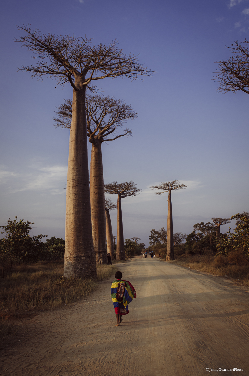 Menabe (Madagascar) ©Jenny Guarnieri