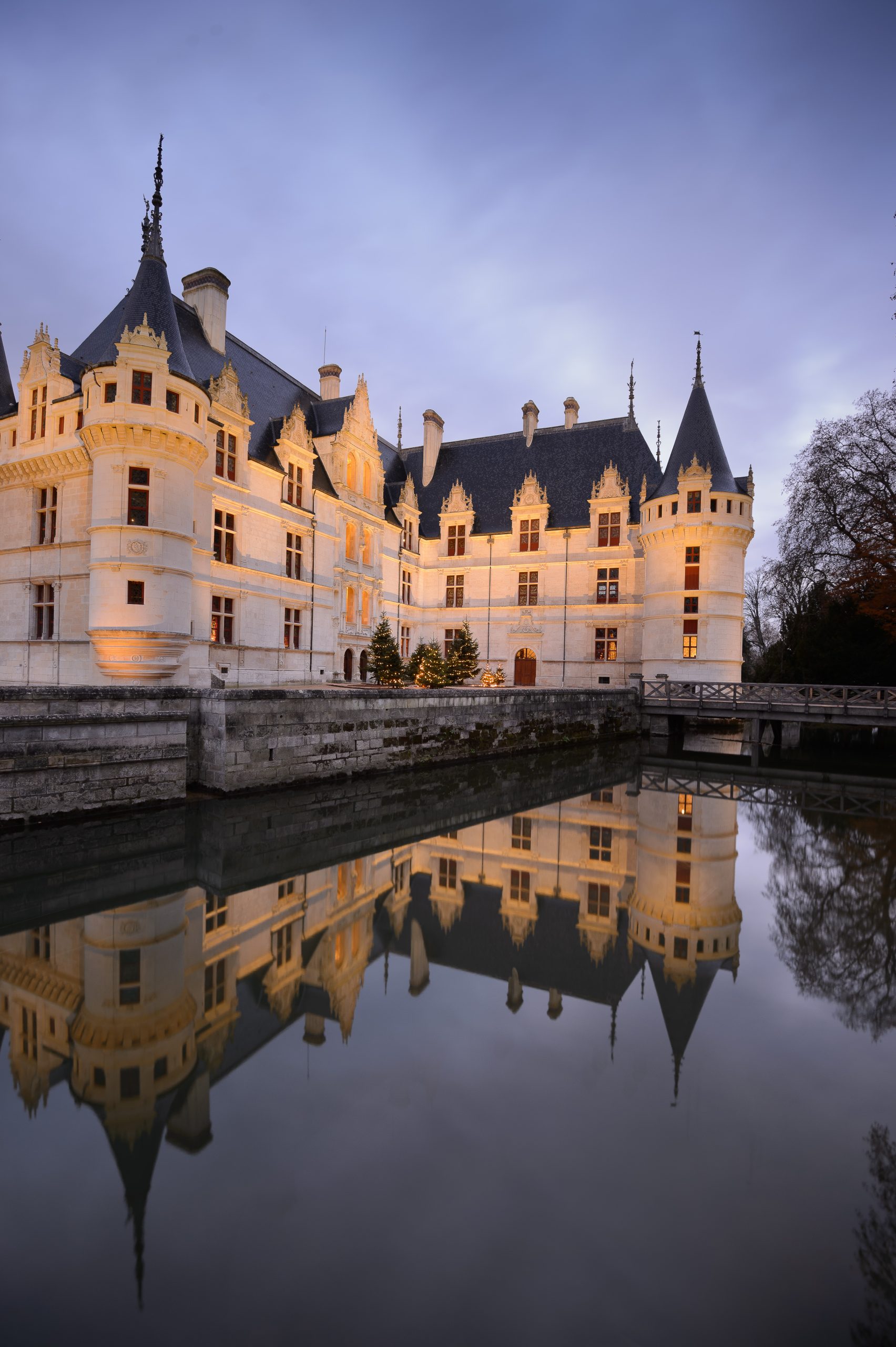 Il castello di Azay-le-Rideau si specchia nell'acqua ©L. de Serres - CMN