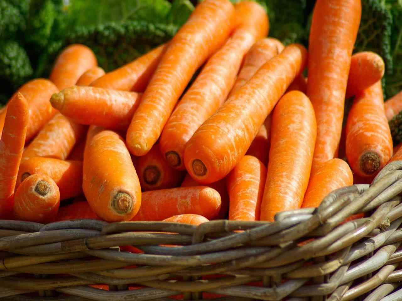 Piantare carote in bottiglia: ecco il trucco per averle sempre fresche