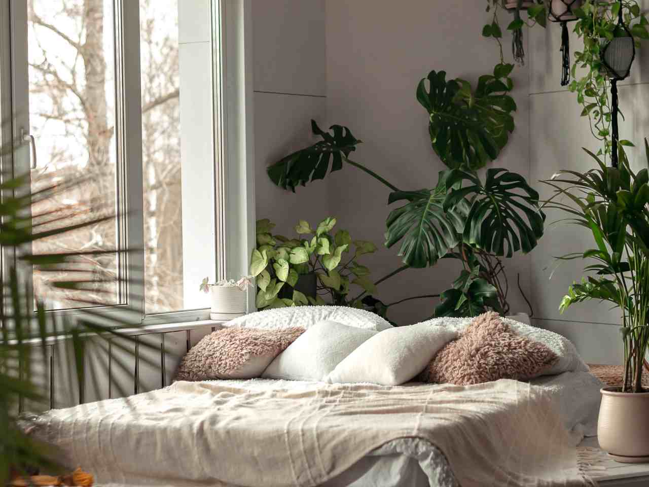Migliori piante da camere da letto