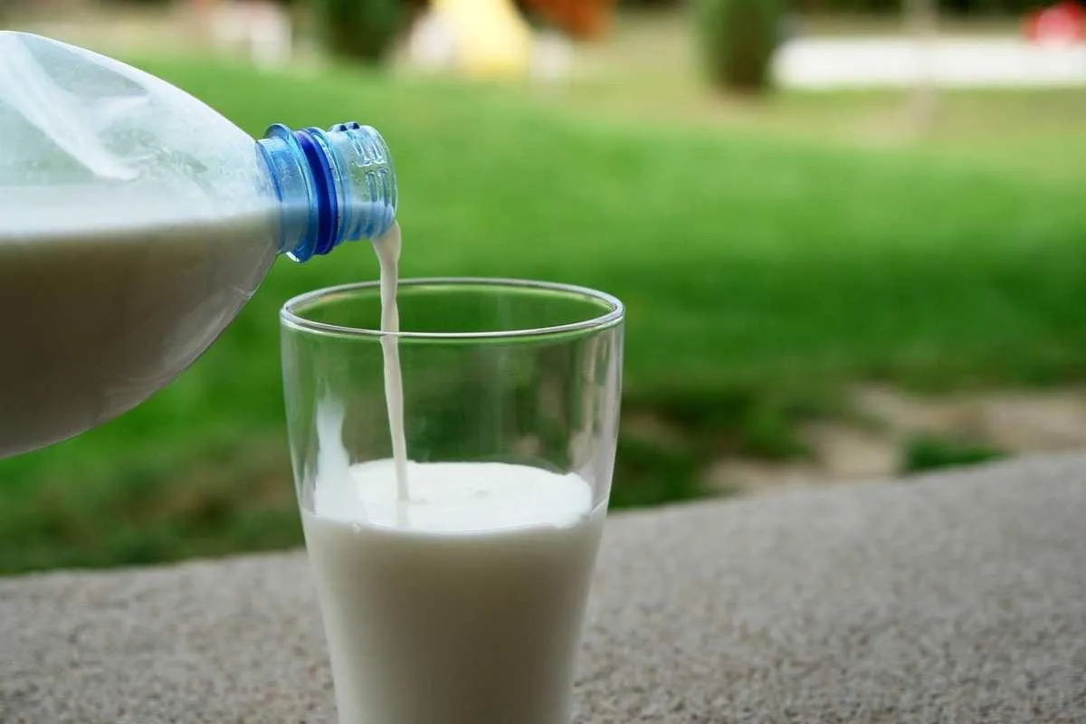intolleranza al lattosio cosa mangiare